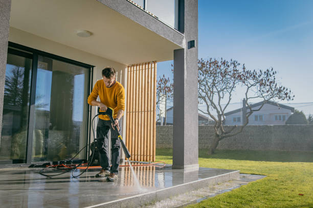 Best Boat and Dock Cleaning  in Toulon, IL