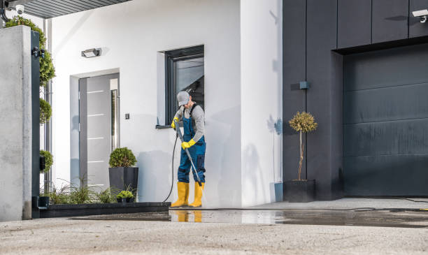 Pre-Holiday Cleaning in Toulon, IL